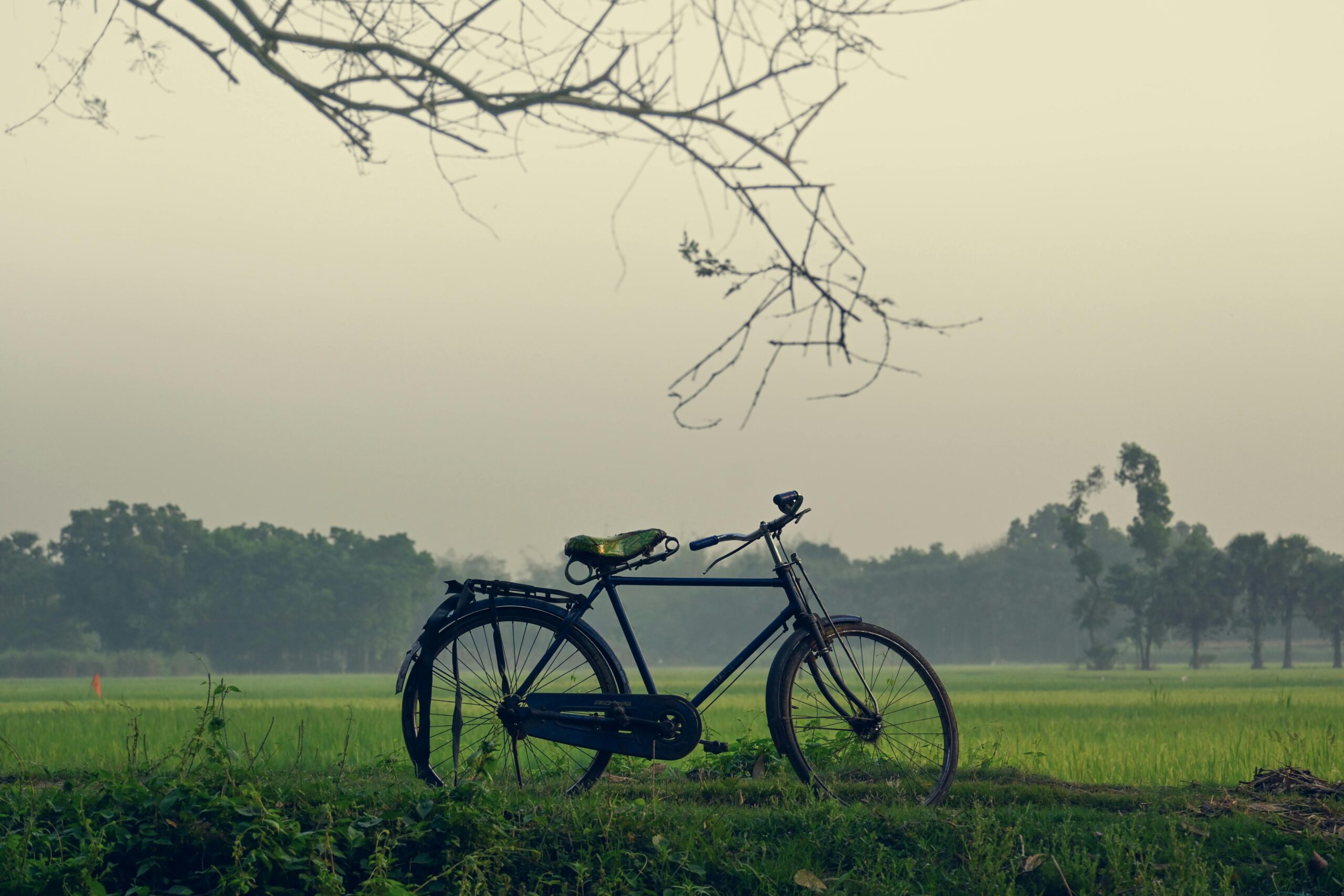 A bicycle rests in a peaceful rural field in Howrah, India, surrounded by lush greenery.